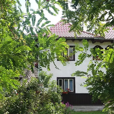 Casa de hóspedes Pensiunea Letitia