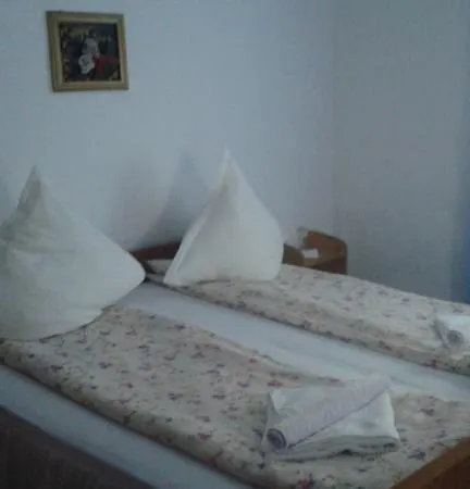 Casa de hóspedes Pensiunea Letitia 2*