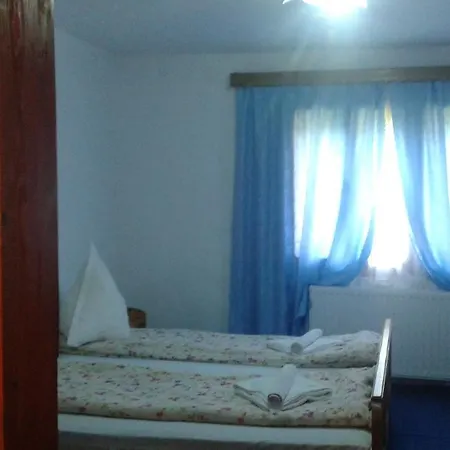 Casa de hóspedes Pensiunea Letitia 2*