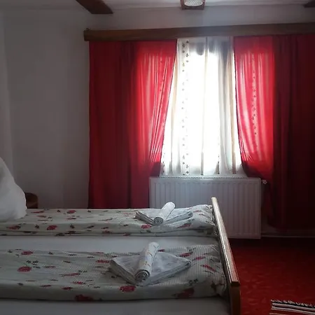 Casa de hóspedes Pensiunea Letitia