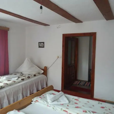 Casa de hóspedes Pensiunea Letitia